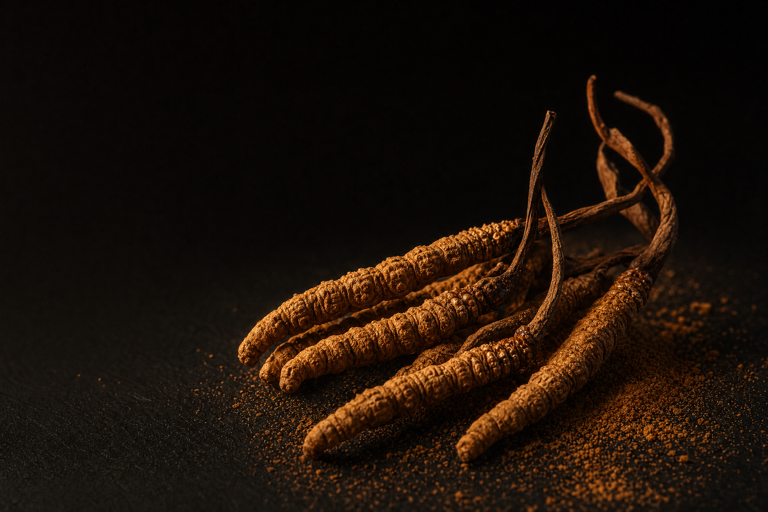 Several brown, segmented worm-like herbs with dried stems and a few scattered particles on a dark surface, photographed against a black background.